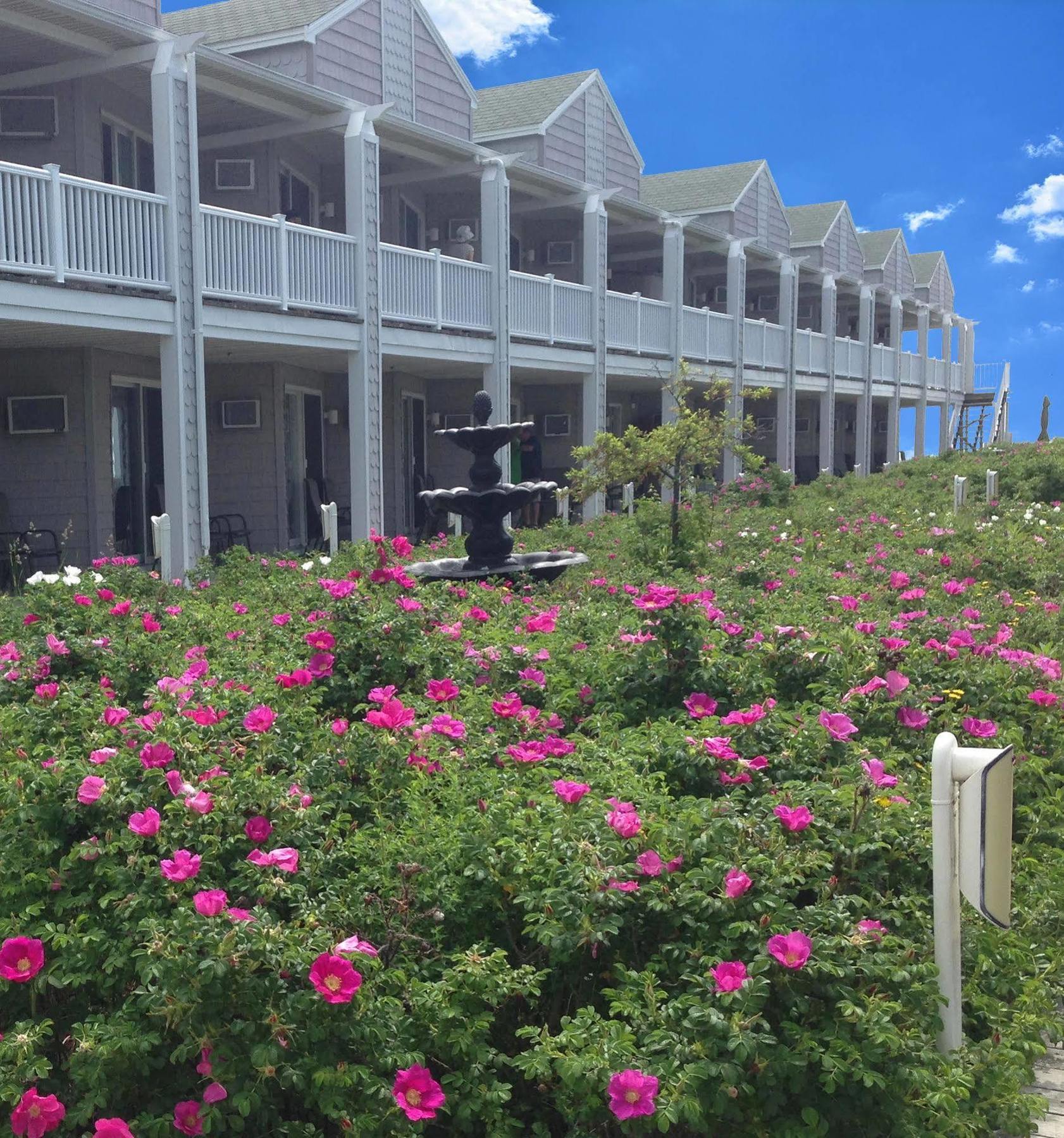 Ocean Walk Hotel オールドオーチャードビーチ エクステリア 写真